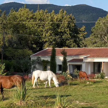 Guest house Luna