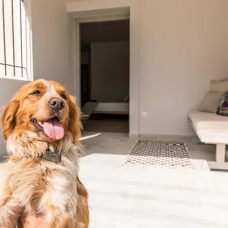 Gæstehus Luna Faiakes